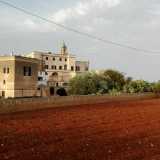 Circondata dai campi dove si coltiva la famosa �carota di Polignano� a San Vito si trova l'abbazia benedettina risalente al VI-VII secolo